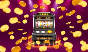 5wim bet